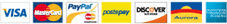 Paga sicuro con paypal